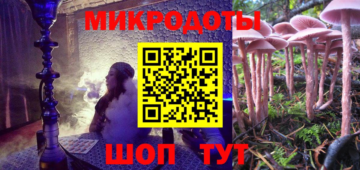 Галлюциногенные грибы Cubensis Пушкино