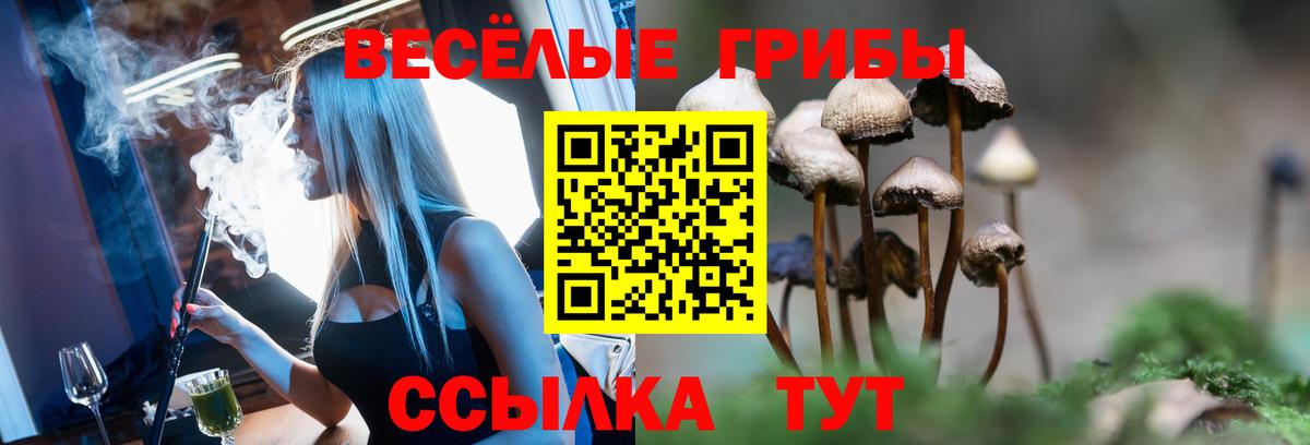 Псилоцибиновые грибы ЛСД  Галлюциногенные грибы Psilocybine cubensis  Пушкино  Вход с VPN 